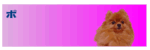 �L�R�����̃z�[���y�[�W