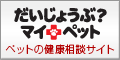 �������傤�ԁH�}�C�y�b�g