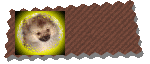 ۂۂ̃z[y[W