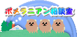 �|�����j�A���Ɋւ��鑊�k�f���B���̌f���̓����N�t���[�ł��B�����N��\���Ē�������́A���[���ł��A�����������B